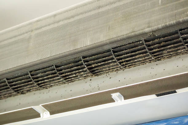 Best Residential Air Duct Cleaning  in Lloyd Harbor, NY